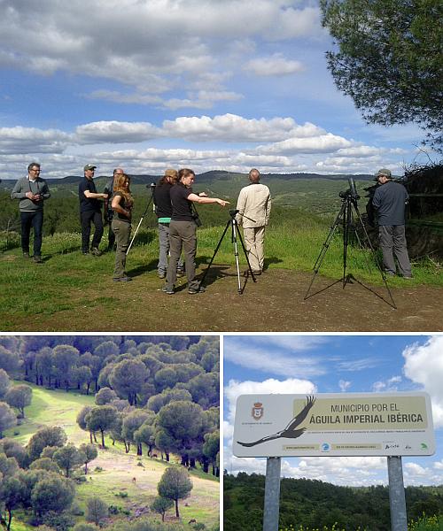 Bildergalerie Vogelbeobachtungsreise Nationalpark Donana