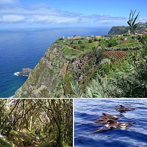 Bildermosaik Madeira