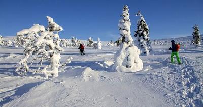 Singelreise Lappland