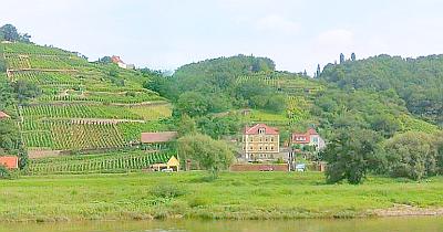 Tageswanderung Rheingau