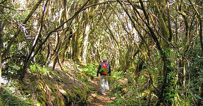 Wanderreise Teneriffa Gruppenreise